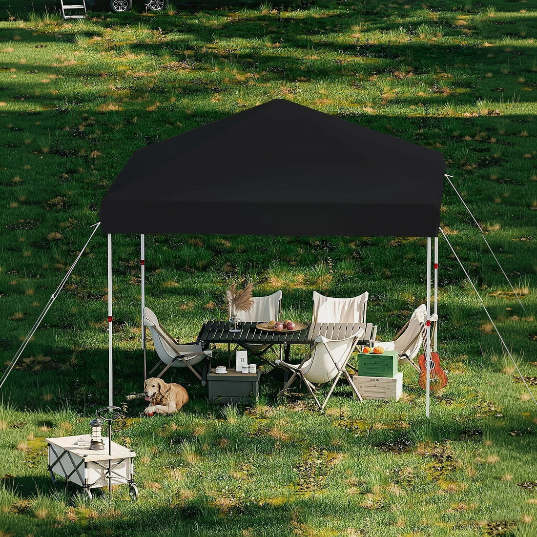 10x10 FT Pop Up Canopy Tent, Black Heavy Duty Waterproof Gazebo Shelter with Wheeled Carry Bag Portable Instant Sun Shade for Outdoor Parties, Events & Camping, Patio, Garden, Beach